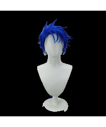 Fate Stay Night Lancer Long Ponytail Style Cosplay Wig