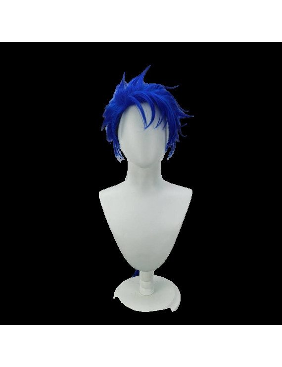 Fate Stay Night Lancer Long Ponytail Style Cosplay Wig