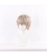 Wind Breaker Choji Tomiyama Anime Modeling Cosplay Wig