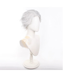 Wind Breaker Hajime Umemiya Modeling Cosplay Wigs