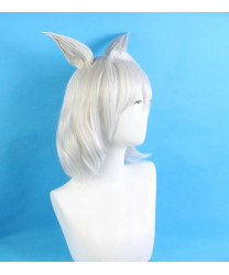 Fate Grand Order Lancer Caenis Grey Short Cosplay Wig+ ears