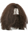 Hagrid Wig Harry Potter Role Cosplay Wig Brown Long Curly Wavy Hair With Beard