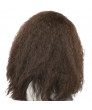 Hagrid Wig Harry Potter Role Cosplay Wig Brown Long Curly Wavy Hair With Beard