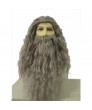 Gandalf Wig and Beard Set The Hobbit Gandalf Cosplay Wig