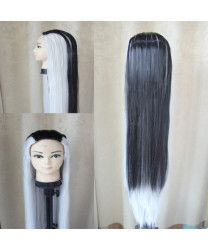 Mortal Kombat Sindel Silver Black Long Straight Cosplay Wig