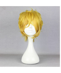 Karneval Yogi Cosplay Wig 32 cm