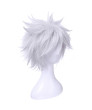 Hunter X Hunter Killua Zoldyck Cosplay Wig