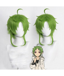 Mushoku Tensei Jobless Reincarnation Sylphiette Anime Cosplay Wig