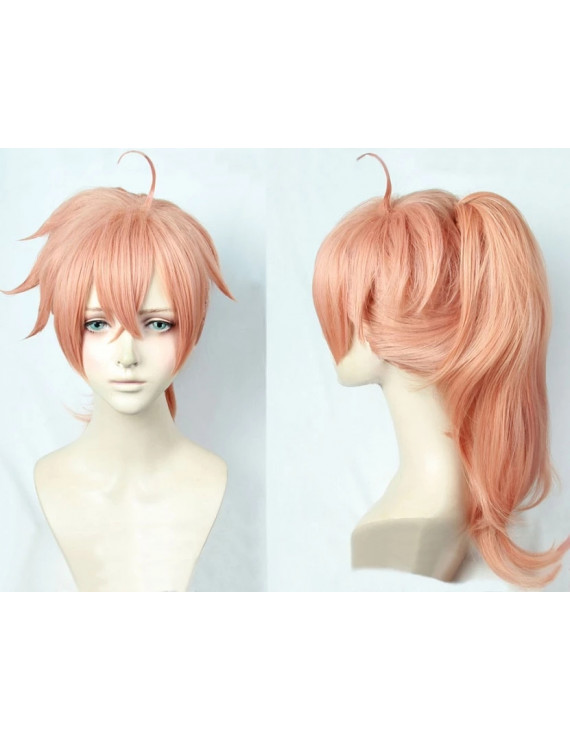 Fate Grand Order Romani Archaman Dr. Roman Role Cosplay Wig + panytail