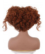 Deep Brown Hocus Pocus 2 Winifred Sanderson Cosplay Wigs