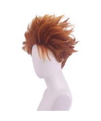 Hotel Transylvania 3 Summer Vacation Jonathan Cosplay Wig